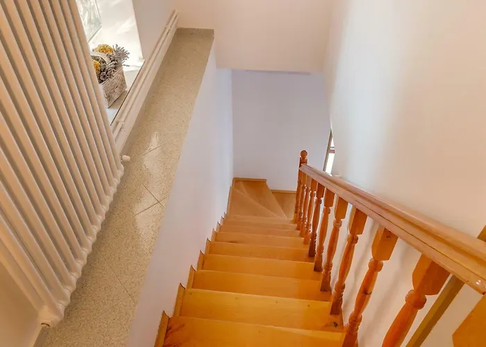 Muzic Διαμέρισμα *