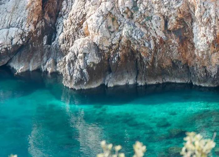 Muzic Διαμέρισμα *