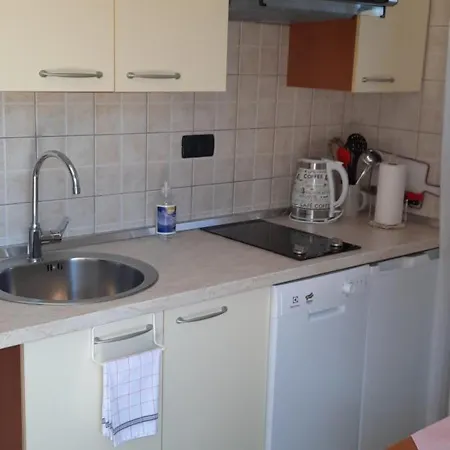 Muzic Apartment Orlec